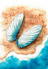 watercolor illustration of seashell like  angel wings on the beach near far from ocean wave. collection of cards with shells and molluscs