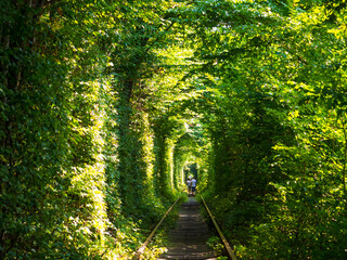 Scenic railway in the summer forest. Couple walk in tunnel of love in Klevan, Ukraine. Railway...
