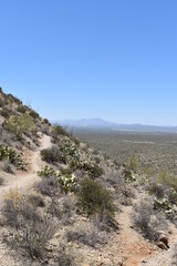 path to the mountain