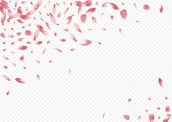 Color Blossom Vector Transparent Background. Leaf