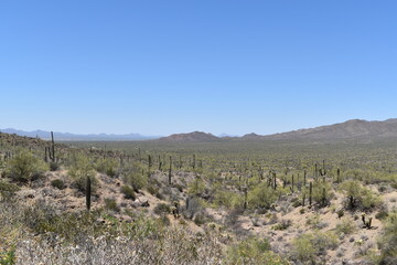landscape with sky and clouds