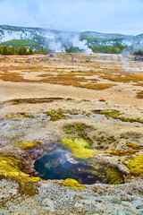 Steamy hole in Yellowstone basin during winter
