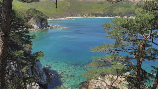 View from the pine grove on an amazing turquoise sea in marine reserve. Unique nature in stunning seascape.