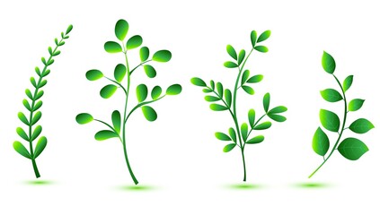 Elegant various shapes green leaves set design