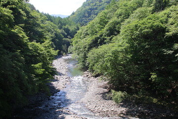 新緑の季節の西沢渓谷。山梨県を流れる笛吹川上流の渓流。