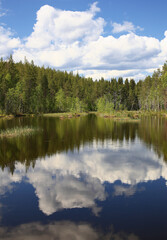 Fototapeta na wymiar Idyllic view over lake and swamp in northern Sweden