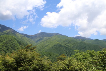 日本の山の風景。山梨県西沢渓谷を囲む山。