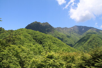 日本の山の風景。山梨県西沢渓谷を囲む山。鶏冠山（とさかやま）。