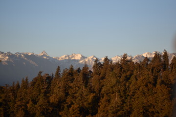 Tree & the mountains in the forest, location - Kedarkantha, Uttarakhand, Shoot ate - 21 Nov'21