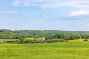 Lush green fields in the countryside