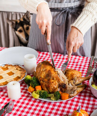 woman preparing thanksgiving dinner at home kitchen, dog looking at table from behind