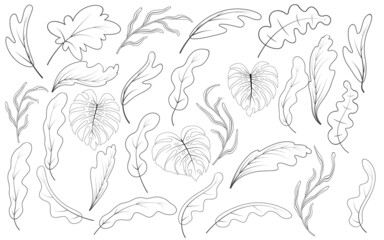 Tropical style vector hand drawn