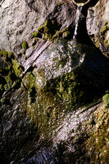 初秋の自然の美しい景色と思いきや都会の下水の流れ模様