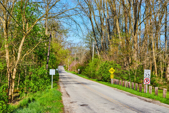 Spring with budding leaves along sideroad in midwest