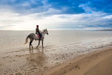 wearing jeans and jacket female rider hacks on a gray horse along sea-coast