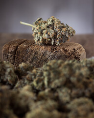 Cannabis buds dried and cured. Marijuana buds and flowers.