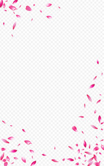 Pink Peach Fall Vector Transparent Background.