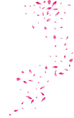 Naklejka premium Red Cherry Blur Vector White Background. Japanese