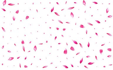 Fototapeta na wymiar Pastel Cherry Petal Vector White Background.