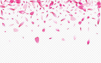 Color Sakura Vector Transparent Background.