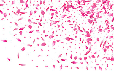 Purple Sakura Petal Vector White Background.
