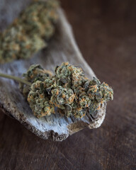 Cannabis buds dried and cured. Marijuana buds and flowers.