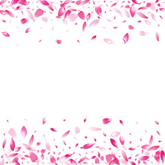 Transparent Lotus Petal Vector White Background.