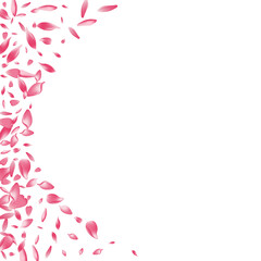 Purple Apple Petal Vector White Background. White