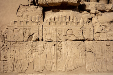 Different hieroglyphs on the walls and columns in the Karnak temple. Karnak temple is the largest...