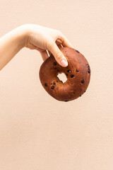 dark bagel with chocolate chips