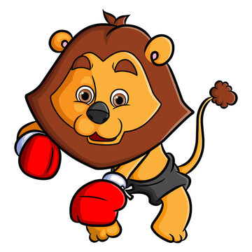 The lion fighter is boxing and punching enemy