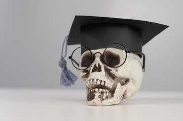 Toy plastic skull with academic cap and glasses. 