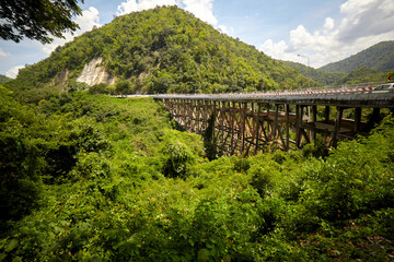 Fototapeta na wymiar Cement bridge through mountain over the forest