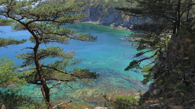 View from the pine grove on an amazing turquoise sea in marine reserve. Unique nature in stunning seascape.
