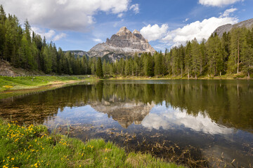 The three peaks of Lavaredo reflected on the D'Antorno lake surrounded by a wood of pine trees, under a blue sky with puffy clouds