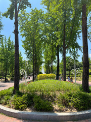 This is a flower bed and a tree in Children's Grand Park