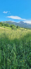 Le plateau du Vercors vu depuis les crêtes de la Molière 