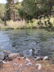 The view of Truckee river on a sunny spring day in North Lake Tahoe, California. Mountain river in Sierra Nevada. West coast vacation destinations. California roadtrip. 