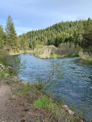 The view of Truckee river on a sunny spring day in North Lake Tahoe, California. Mountain river in Sierra Nevada. West coast vacation destinations. California roadtrip. 