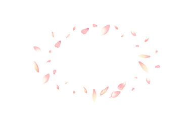 Color Flower Petal Vector White Background.
