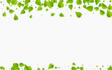 Grassy Leaves Ecology Vector Transparent