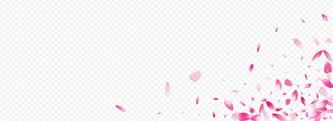 Color Blossom Vector Panoramic Transparent