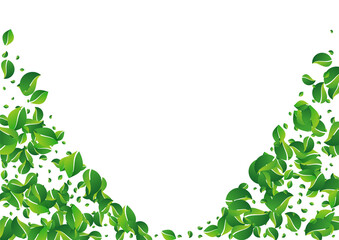 Fototapeta premium Mint Greens Abstract Vector White Background.
