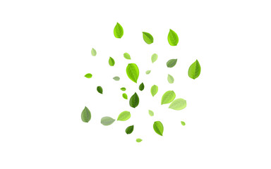 Grassy Leaf Ecology Vector Background. Motion