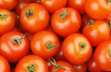 Tomatoes background