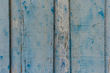 Surface of natural wood aged with the trace of fibers and chips of blue flaking paint symbol of Provence