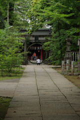 東京赤坂にある氷川神社に茅の輪ができた