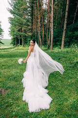a beautiful bride in a wedding dress with a long train and a veil walks in the garden