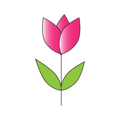 rose flower flat design