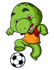 The turtle is playing football and wearing a cloth